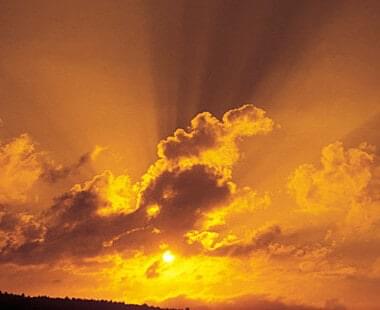 Who is the creator? 24