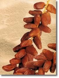 The date and its uses as described in the Quran 2