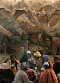 Islamic festivals: The spirit behind Eid -ul-Adha 2
