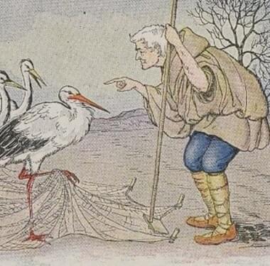 The farmer and the stork 13