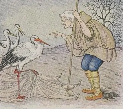 The farmer and the stork 1