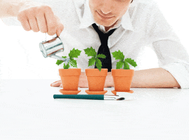 Individual Responsibility 9