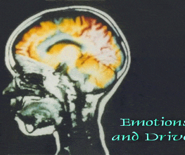 Human Behavior: Emotions and Drives 8