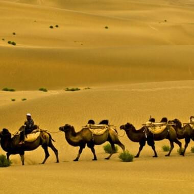 Ask Huda Live Program 19