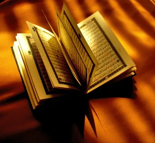 The Qur'an for the Modern World 2