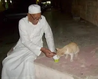 What the Prophet Says about Kindness to Animals 2