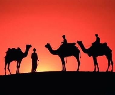 What we must believe of the Companions 24