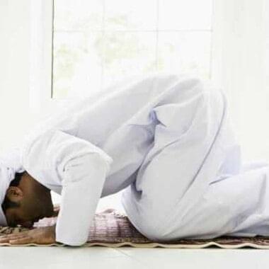 Prostrating to the Prophet!! 13