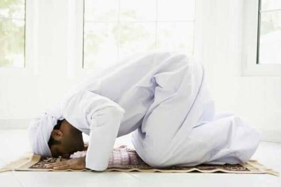 Prostrating to the Prophet!! 15