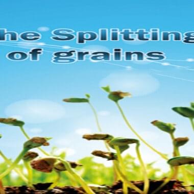 The Splitting of grains 11