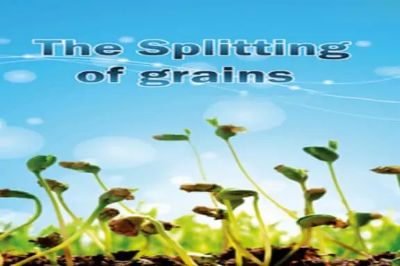The Splitting of grains 7