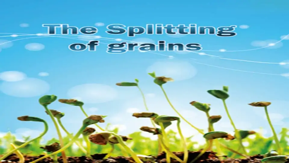 The Splitting of grains 1