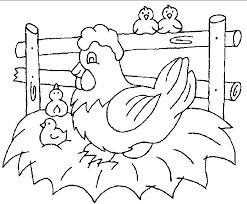 chicken and chicks coloring page_2