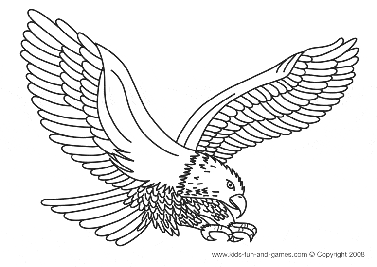 flying eagle coloring