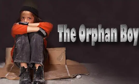 The Orphan Boy 5