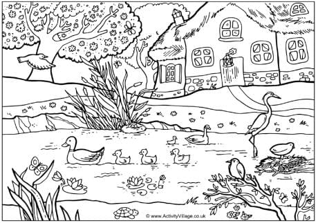spring_pond_colouring_page_460
