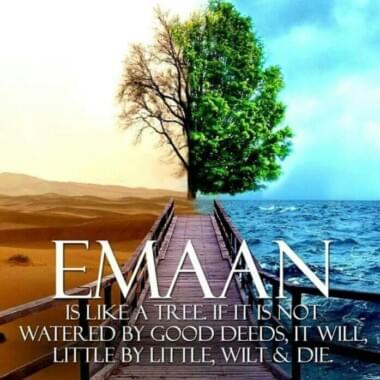 The true faith (Eemaan) 16