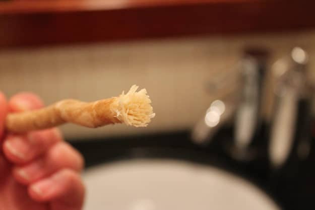 Miswaak: The natural toothbrush 1